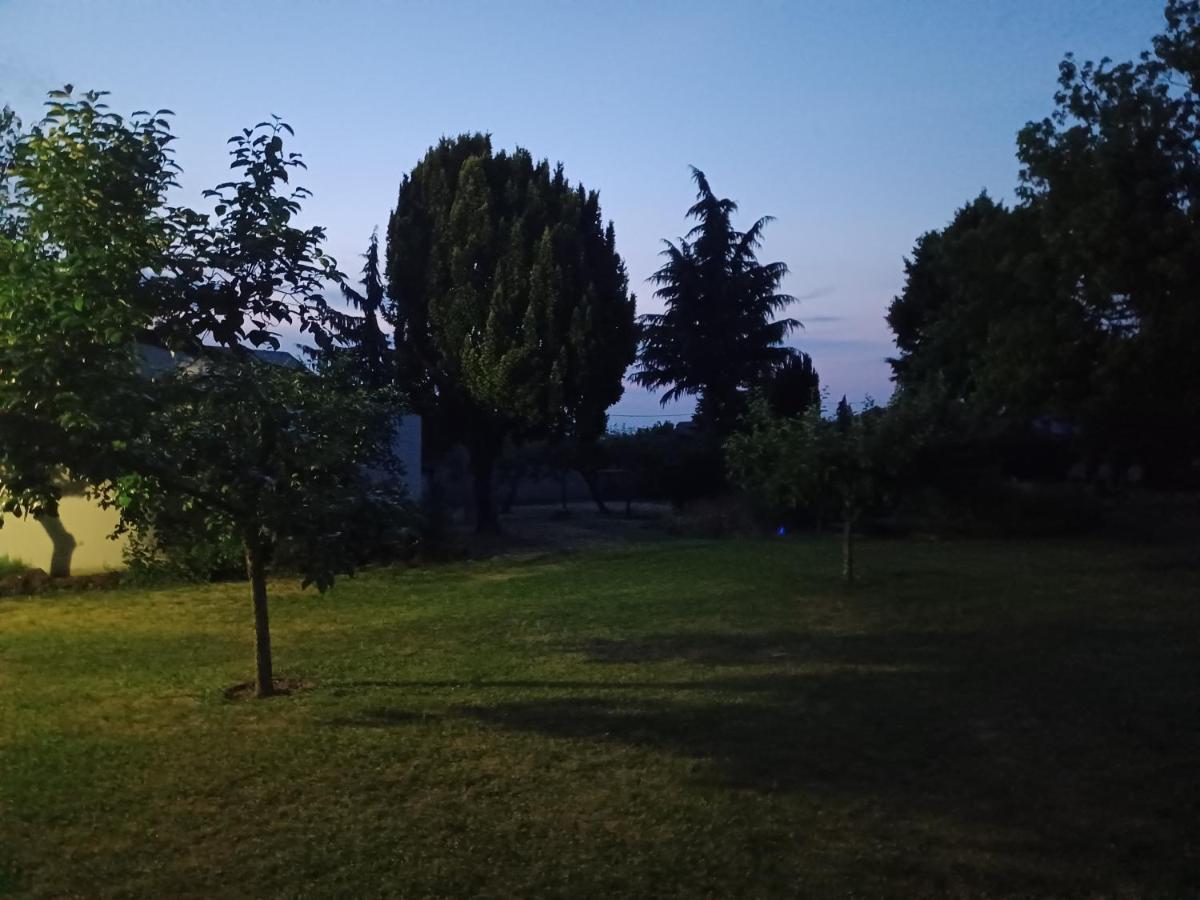 Gaestehaus Frevel Munstermaifeld Luaran gambar